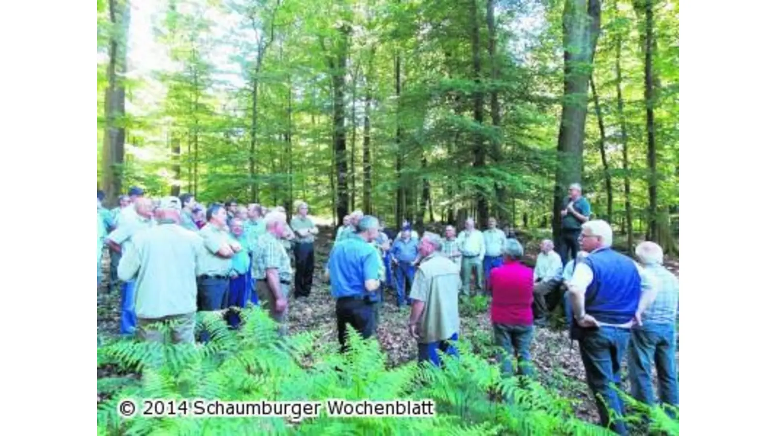 Zeitloses Holz und zudem noch ökologisch wertvoll (Foto: red)