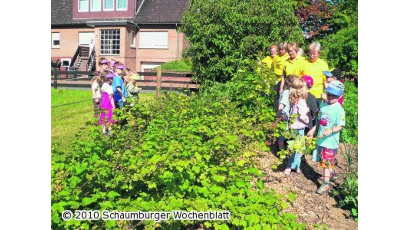 Kleine Gäste auf ganz großen Treckern (Foto: al)