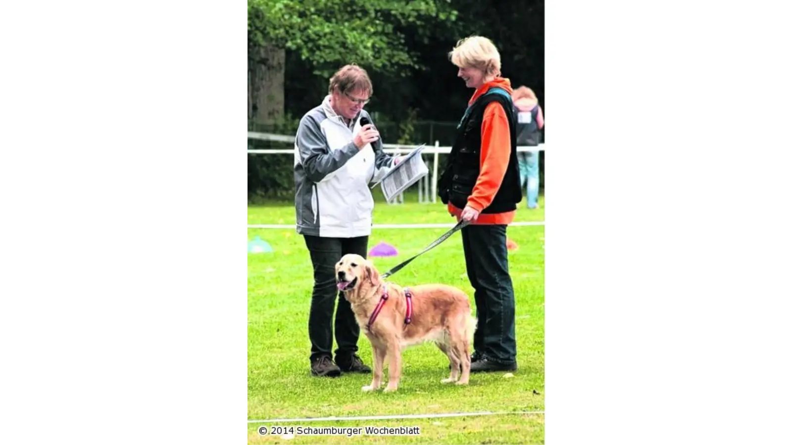 Viel los beim Hundesport (Foto: ste)