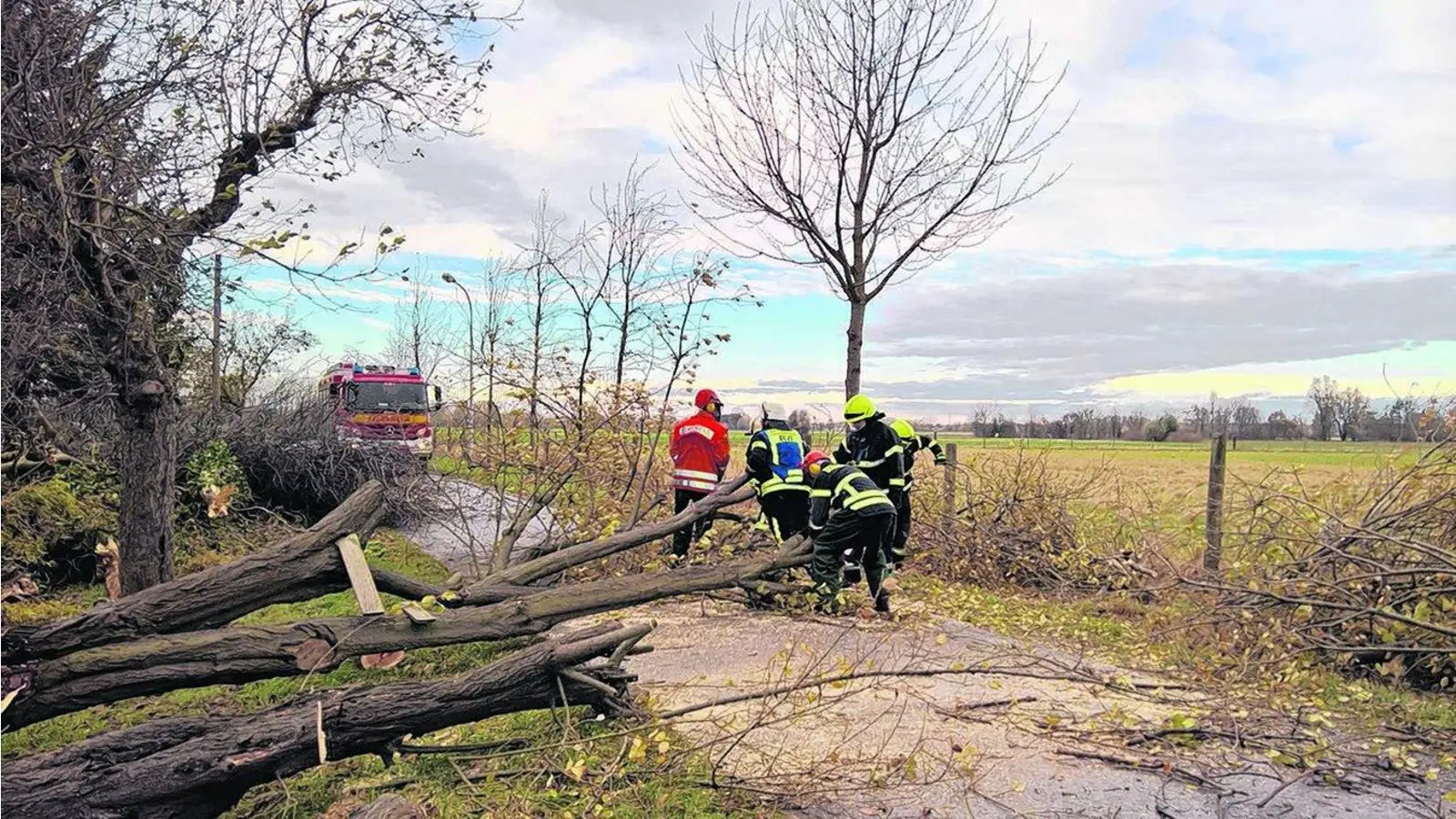 Bäume geben dem Wetter nach (Foto: gr)