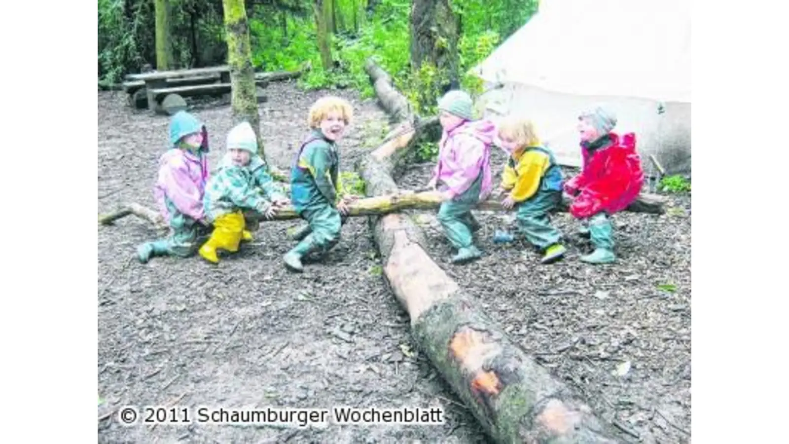 Der Wald tut Kindern einfach gut (Foto: gro)