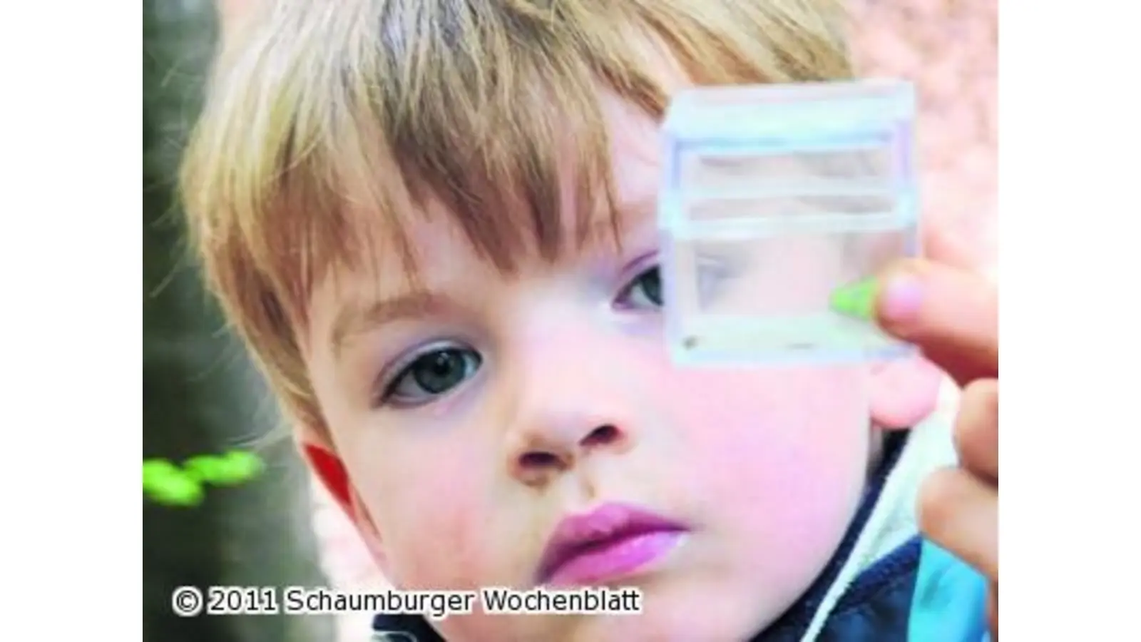Kindergartenkinder erforschen den Harrl (Foto: red)