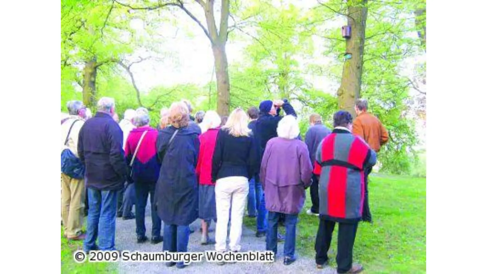 Frühlingserwachen in der Natur (Foto: ste)