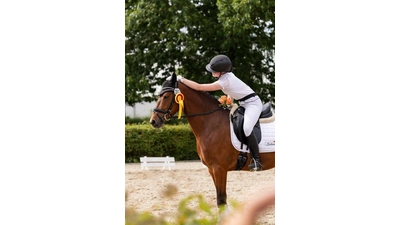 Vom 23. Mai bis 25. Mai findet „Reitsport à la Carte” in Stadthagen statt.  (Foto: Emilia Reinking)