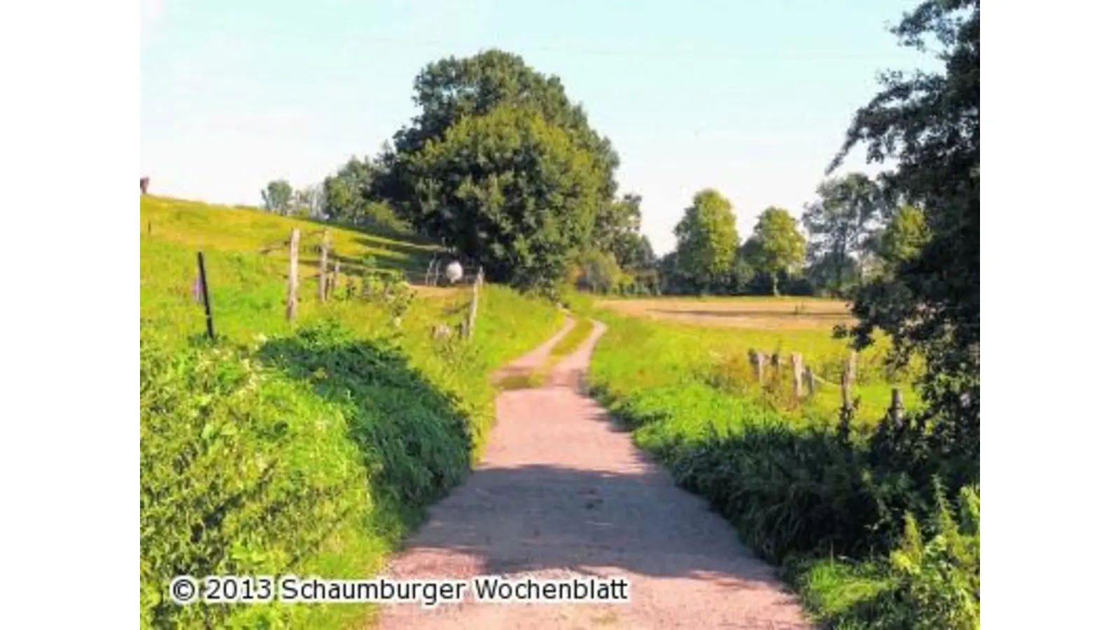 Naturausflug mit viel Geschichte (Foto: km)