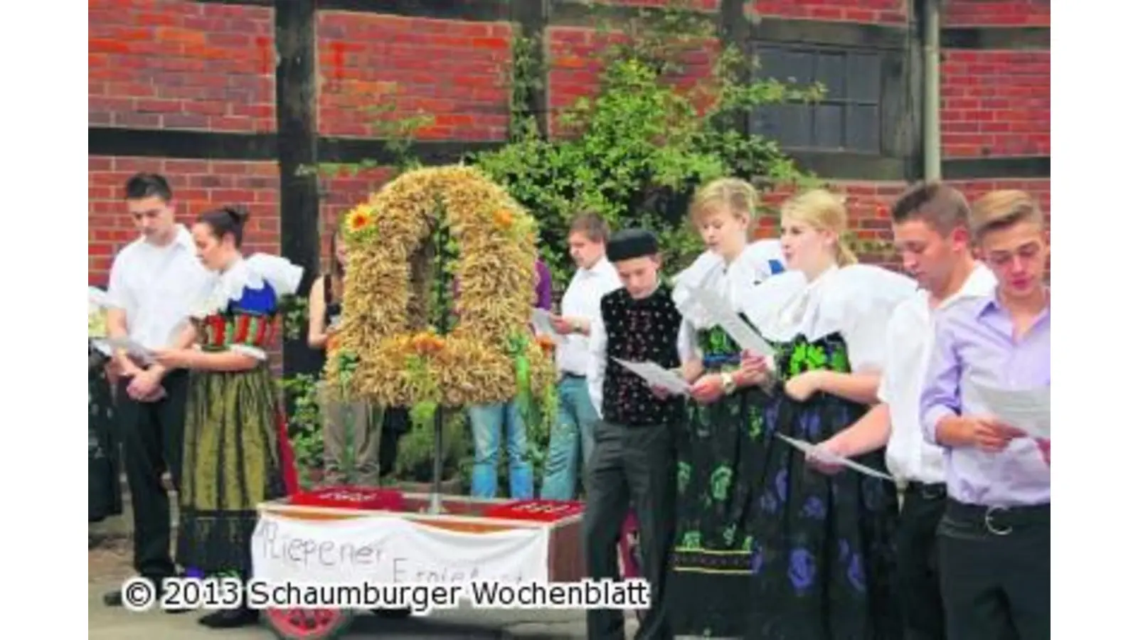 Bunter Bollerwagen rollt durch Riepen (Foto: jl)