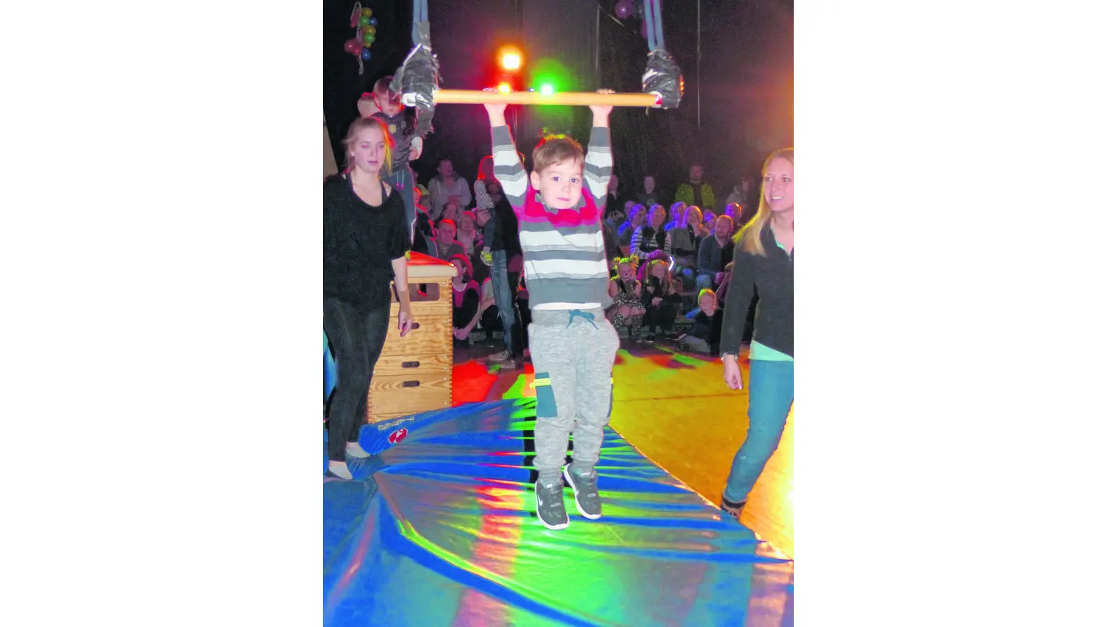 Kleine Katzen schlagen Rad (Foto: al)