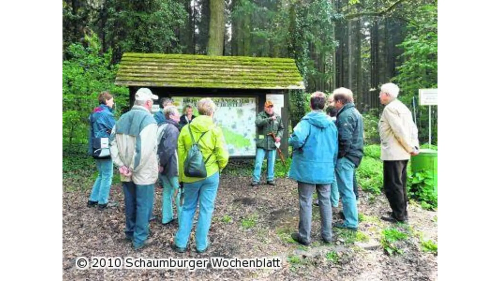 Den Wald mit allen Sinnen genießen (Foto: pd)