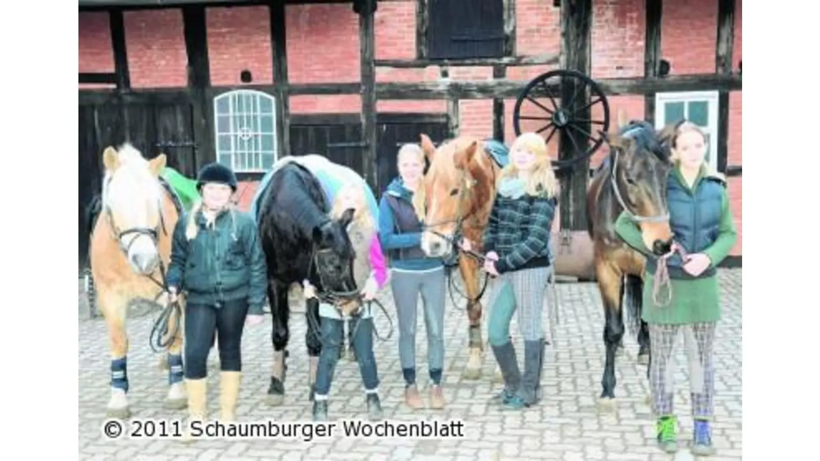 Auch die Pferde bekommen ihren bunten Teller (Foto: red)