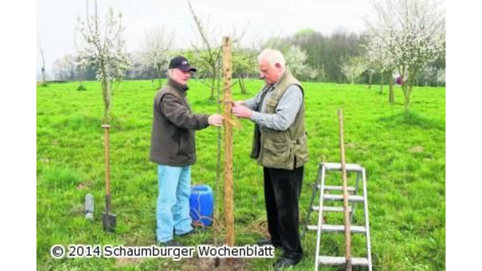 Die alten Obstsorten bewahren (Foto: bb)