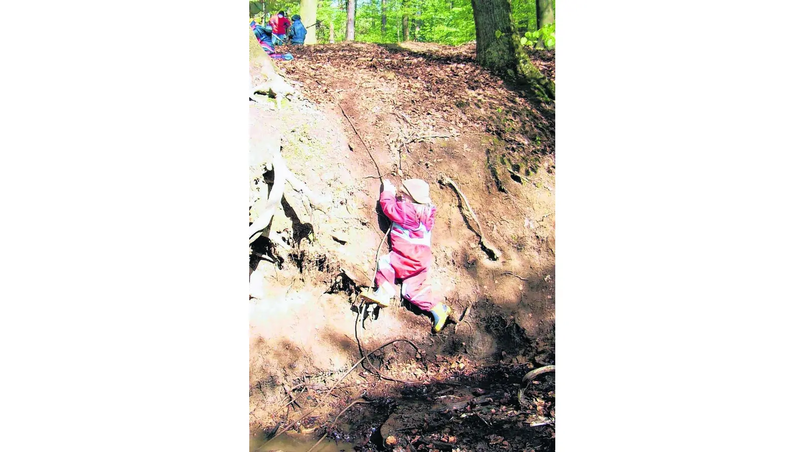 Das Auetal bekommt einen Waldkindergarten (Foto: em)
