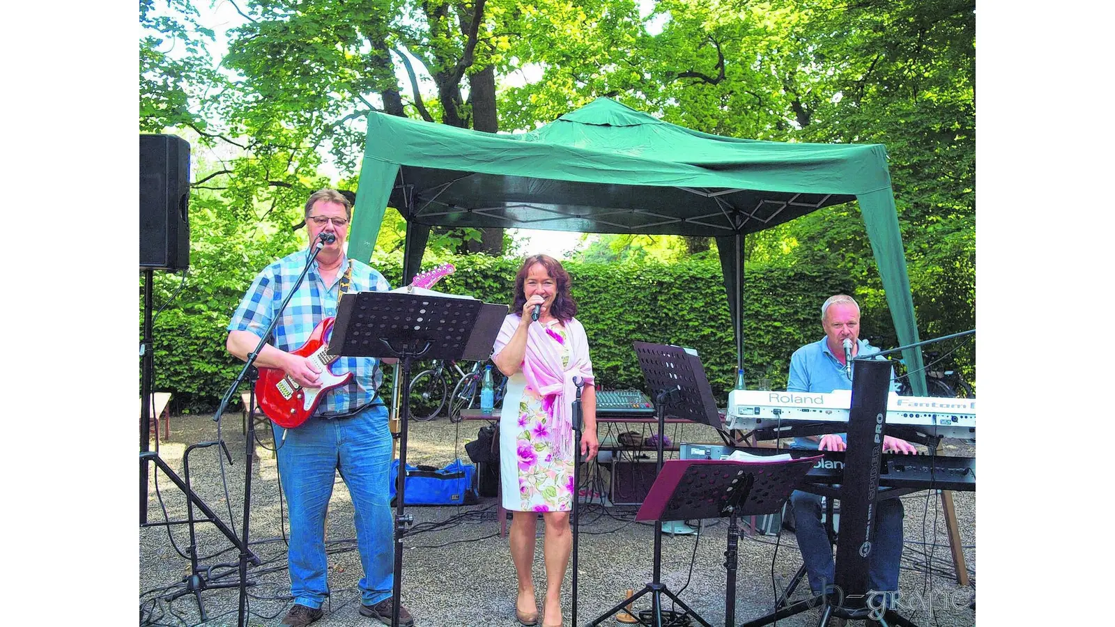 Livekonzert zur Unterstützung von Paul (Foto: red)