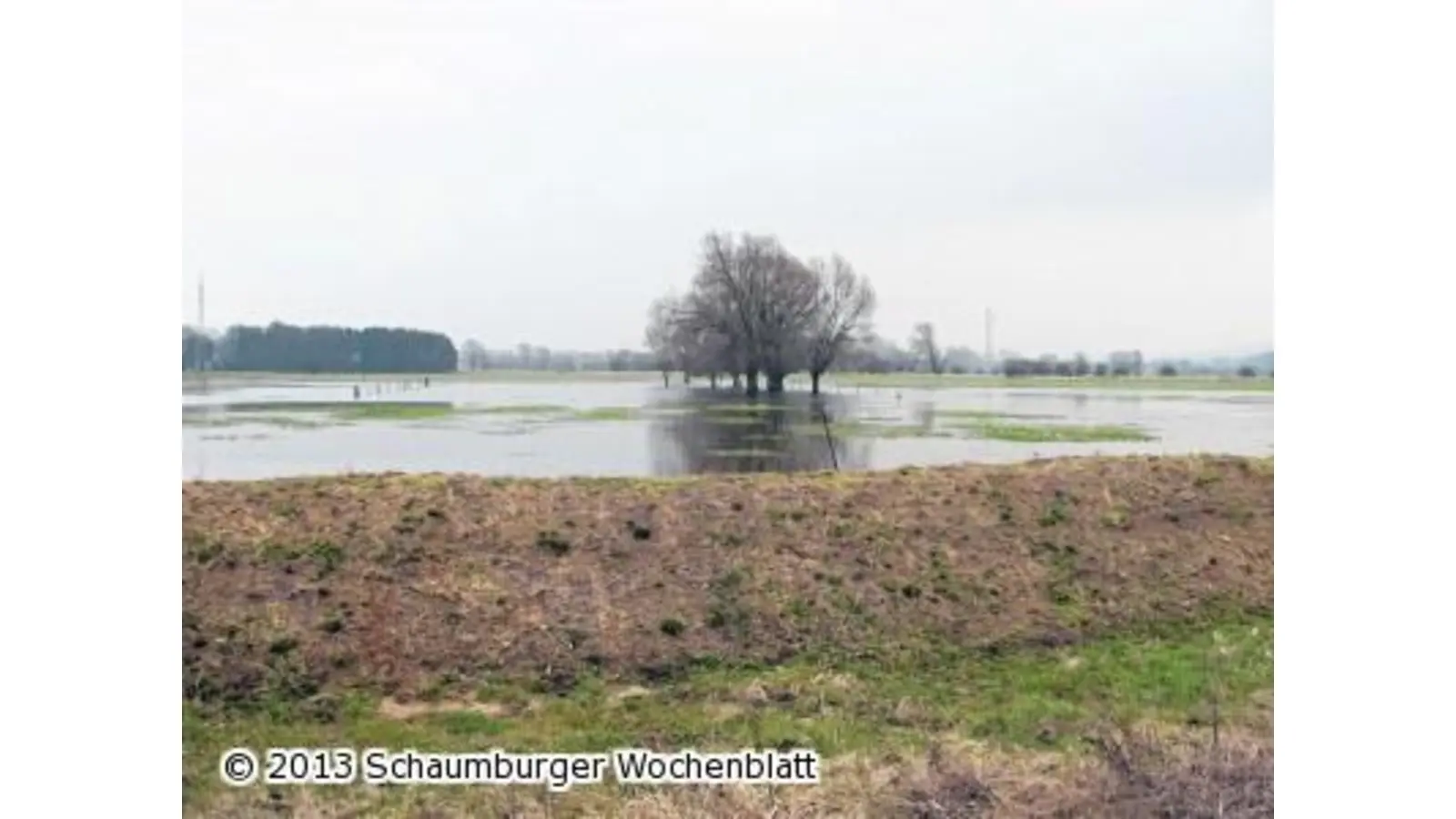Erfolgreiches Schutzprojekt geht nun auf die Zielgerade (Foto: em)