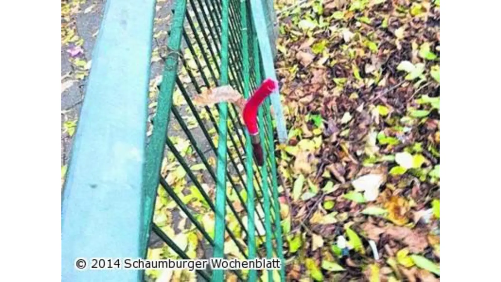 Ein Seil gespannt (Foto: mk)