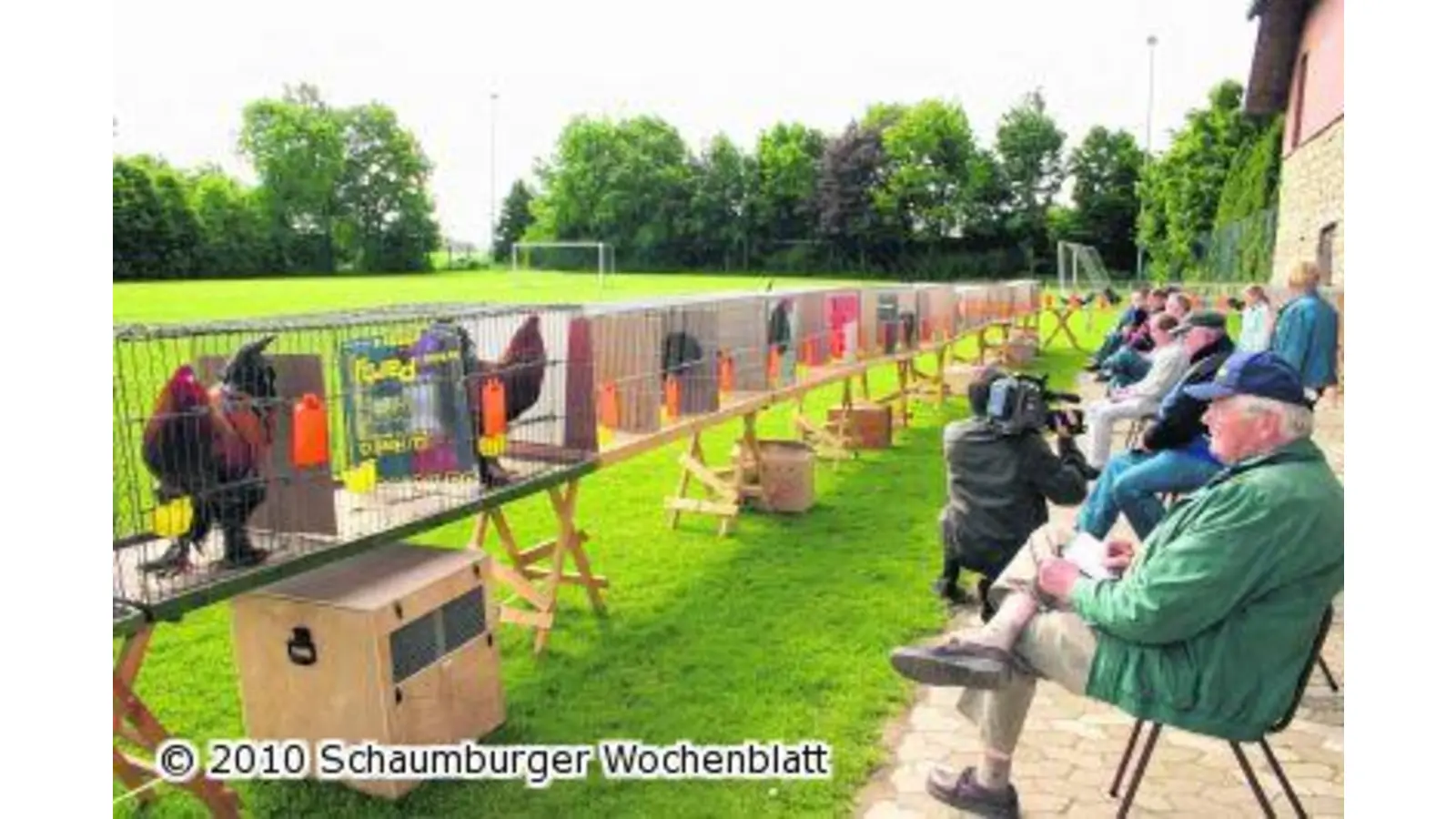 Vom Kükenschlupf bis zum Hähne-Wettkrähen (Foto: bb)