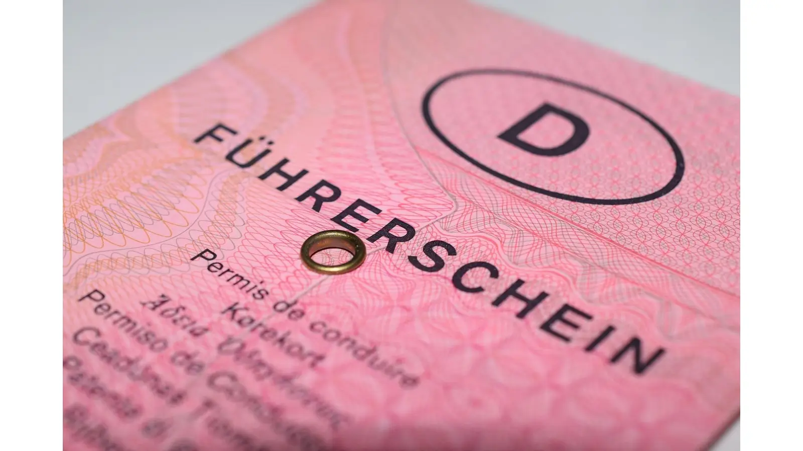 Die Betrugsmasche zum unrechtmäßigen Erwerb der Fahrerlaubnis wird die Justizbehörden noch länger beschäftigen.  (Foto: bb)