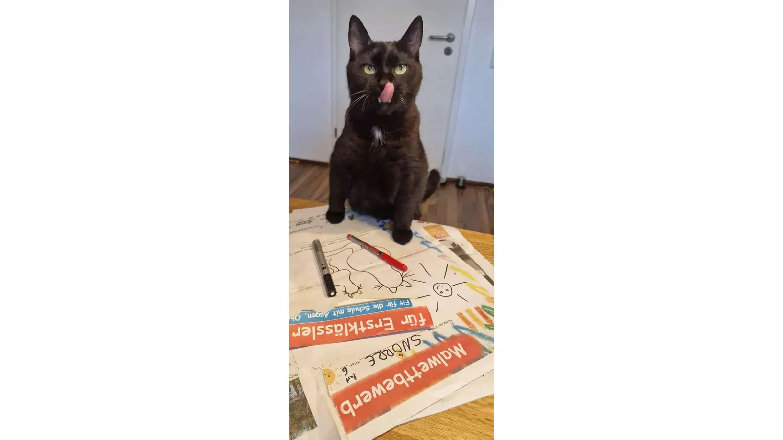 Snörre hat zwei Wettbewerbe im Schaumburger Wochenblatt kombiniert: Den Tag der Katze und den Malwettbewerb für Schulanfänger. (Foto: privat)