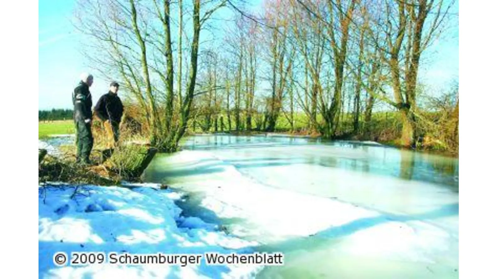 Amphibien brauchen Gewässer mit Sonne (Foto: tt)