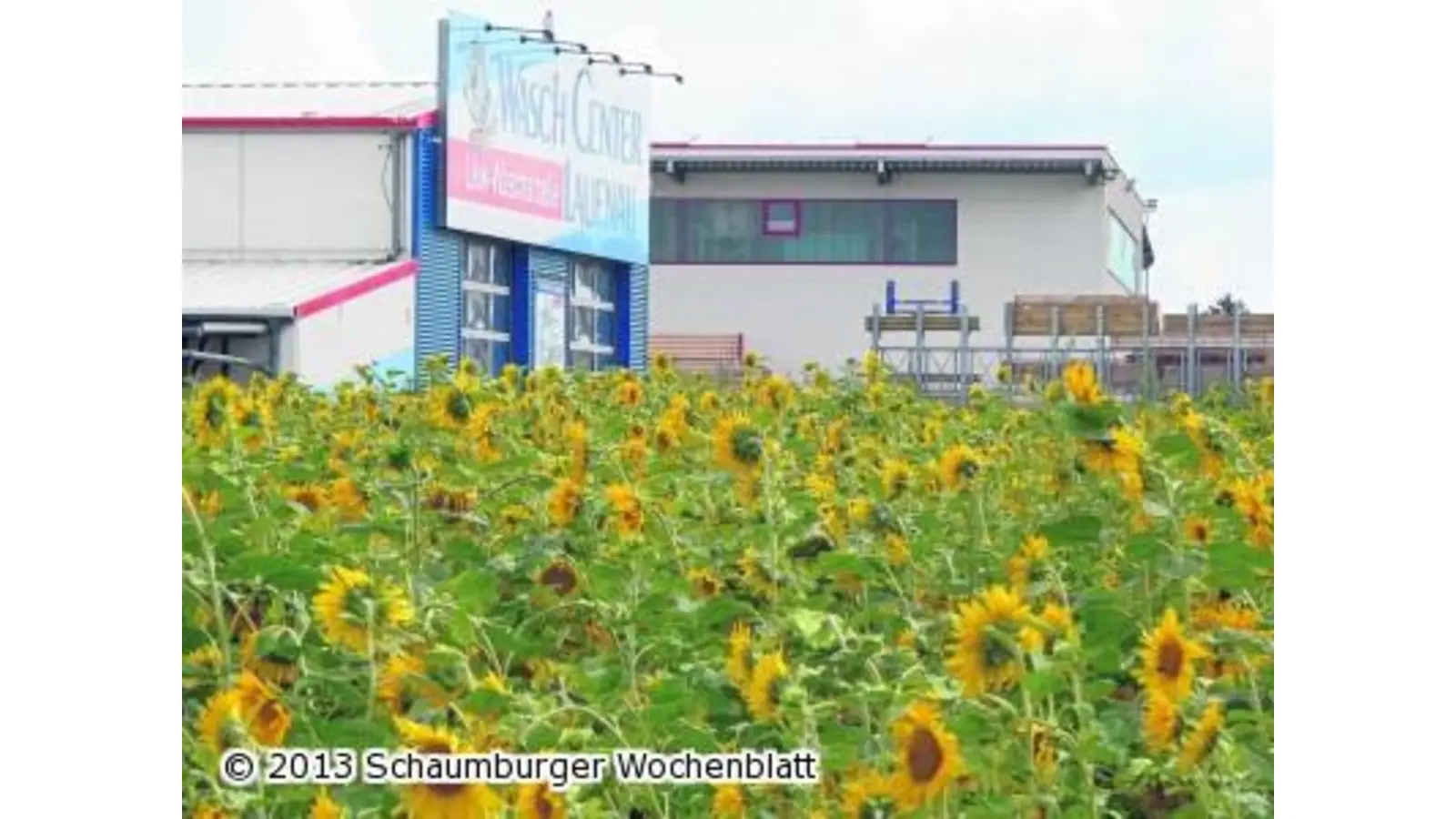 Grüne wollen den Logistikpark erweitern (Foto: al)