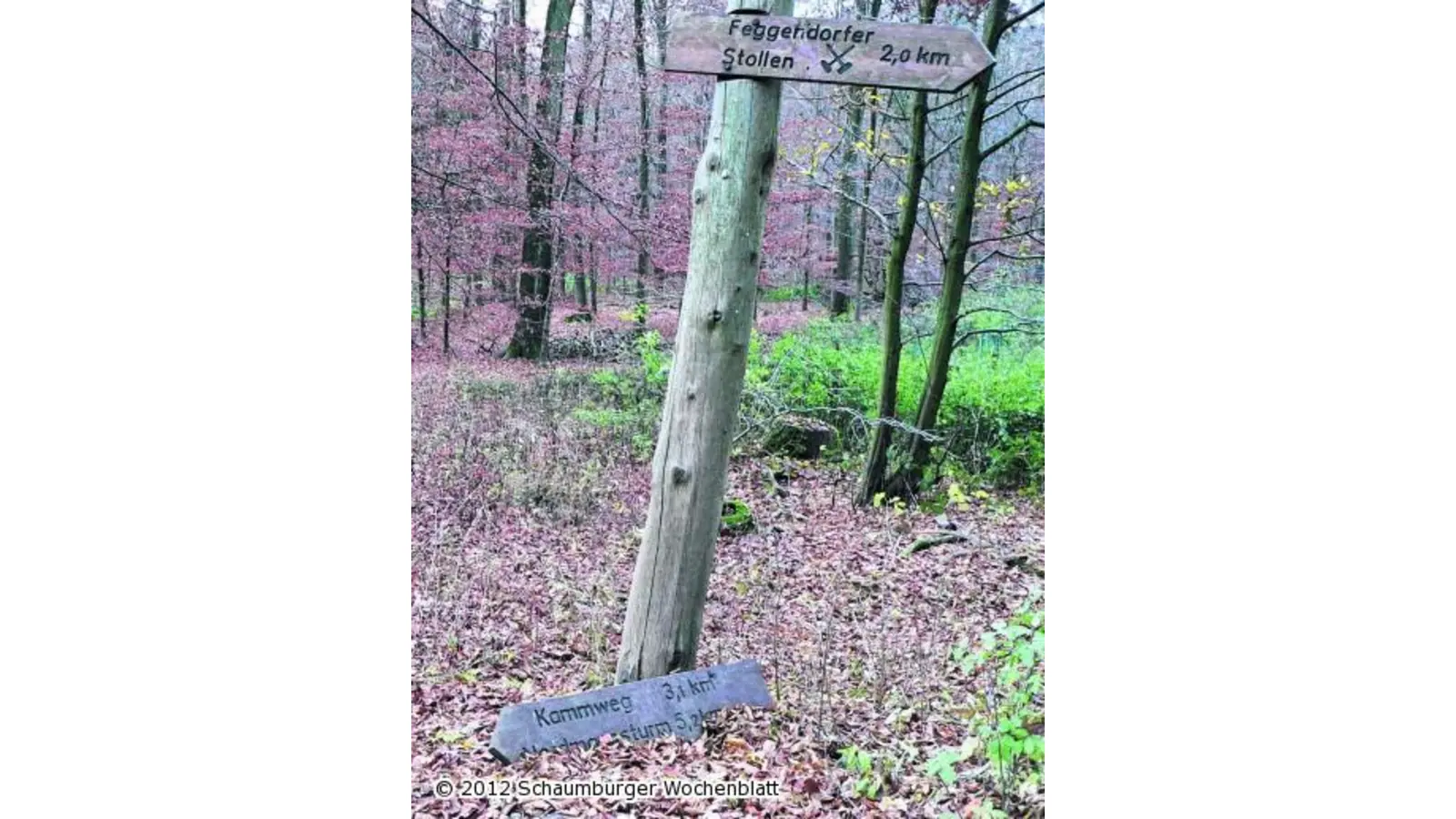 Mehr Werbung bei Wanderern (Foto: al)