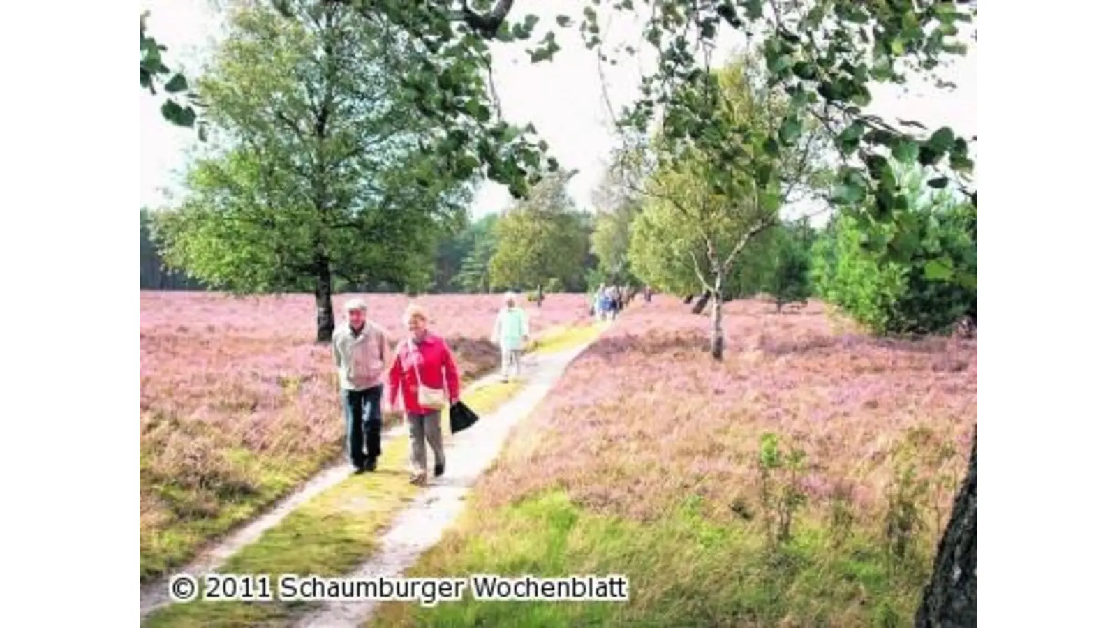 Fünf Jahre Selbsthilfegruppe Restless Legs Bad Nenndorf (Foto: red)