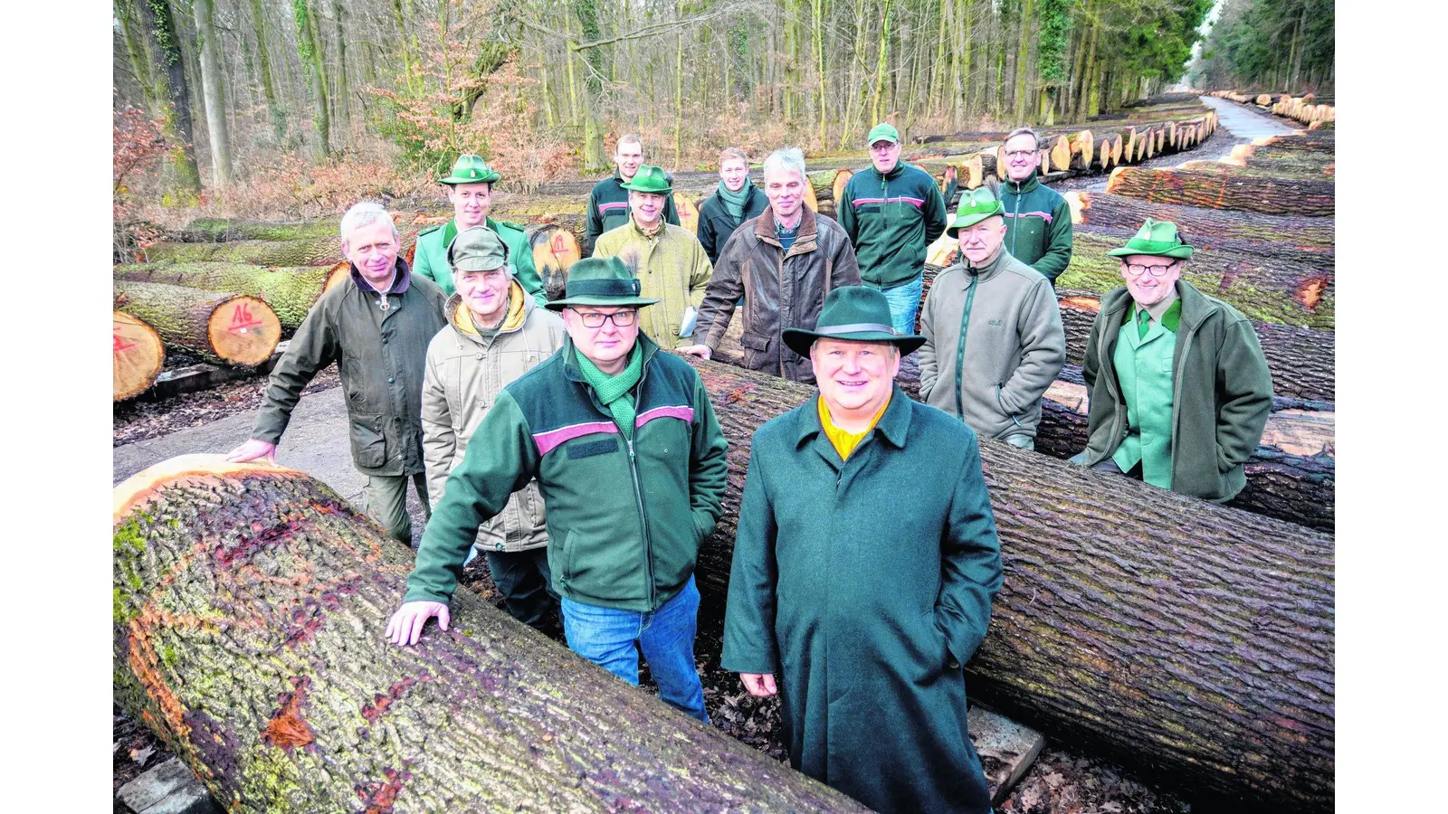 Knapp eine halbe Million Euro für wertvolles Laubholz erzielt (Foto: wa)