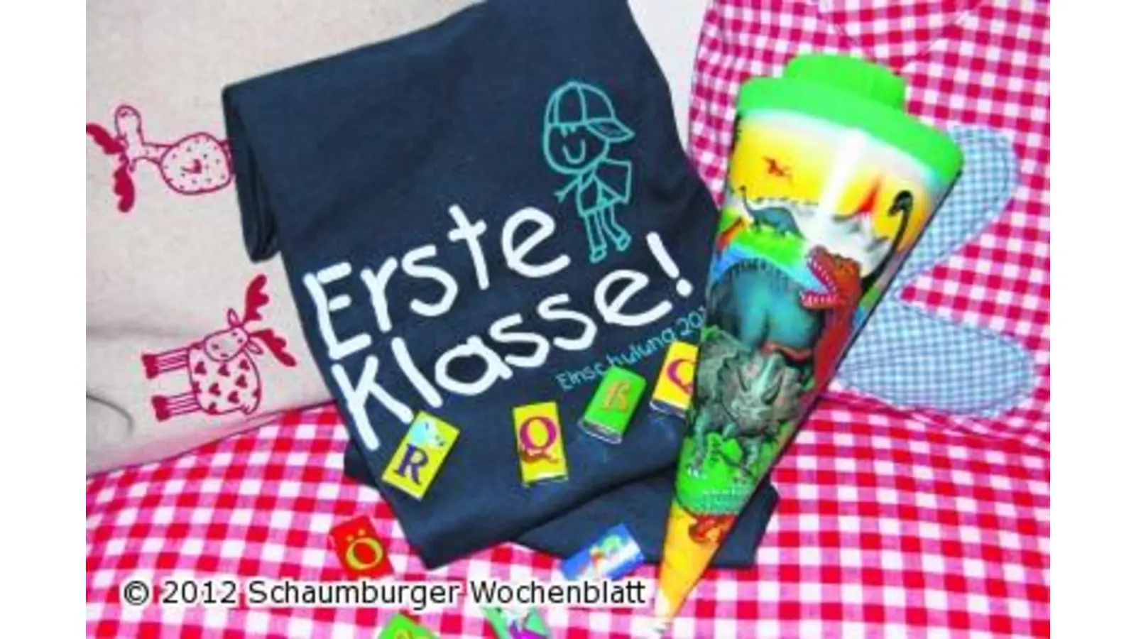 230 ABC-Schützen in acht Grundschulen eingeschult (Foto: red)