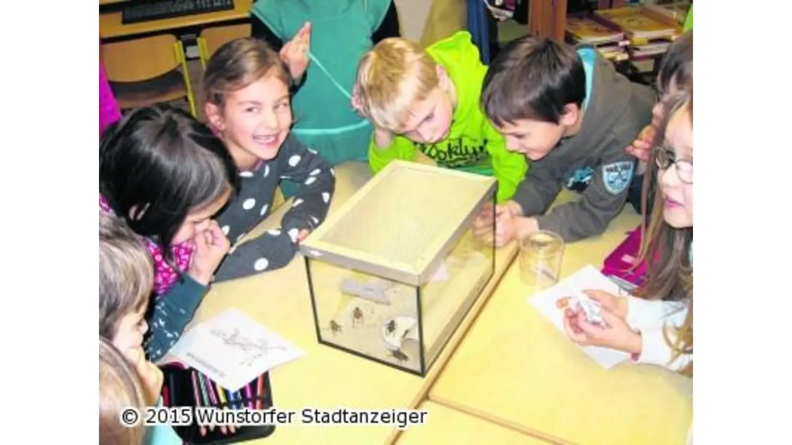 Kinder erkunden Flora und Fauna (Foto: red)