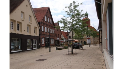 Die Umfrageteilnehmer in der Samtgemeinde Sachsenhagen räumen den Themen Wohnen und Gesundhet und Pflege den höchsten Stellenwert ein.  (Foto: gi)
