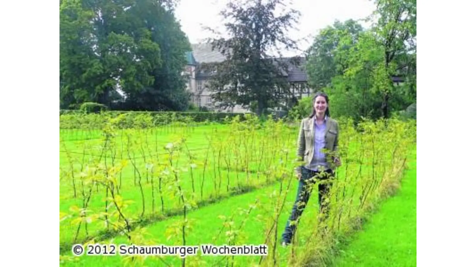 2500 Buchen wollen für Verwirrung sorgen (Foto: al)