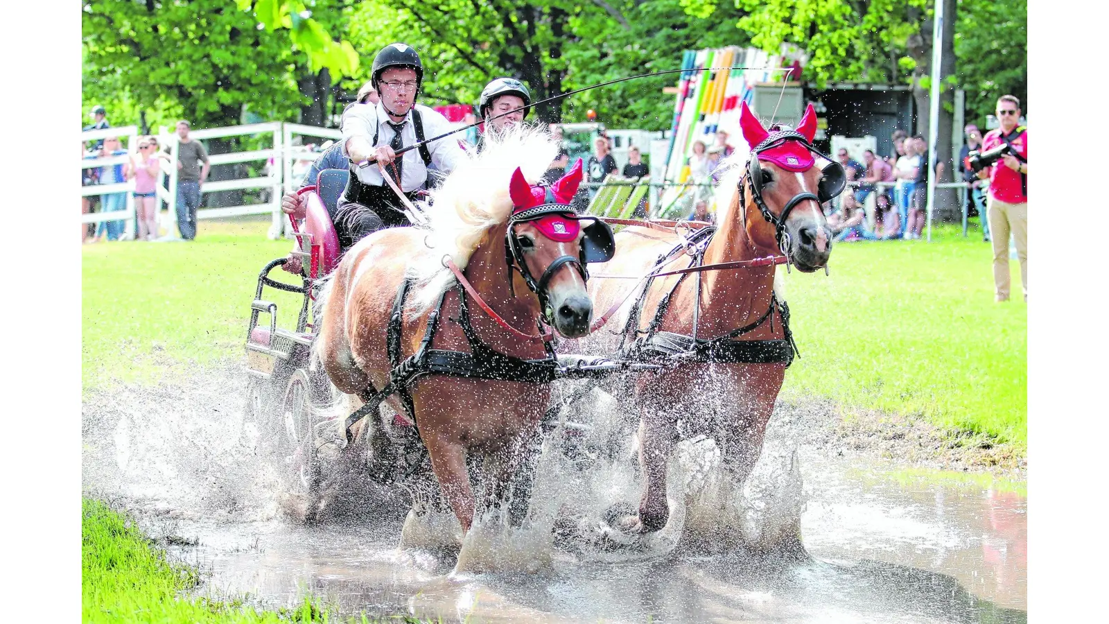 Prüfungen für Ross und Reiter (Foto: bb)