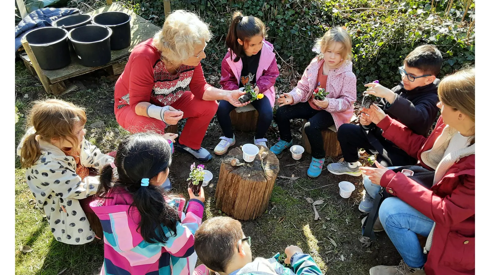 Die Kinder bereiten sich auf das Pflanzen von Hornveilchen vor. (Foto: privat)