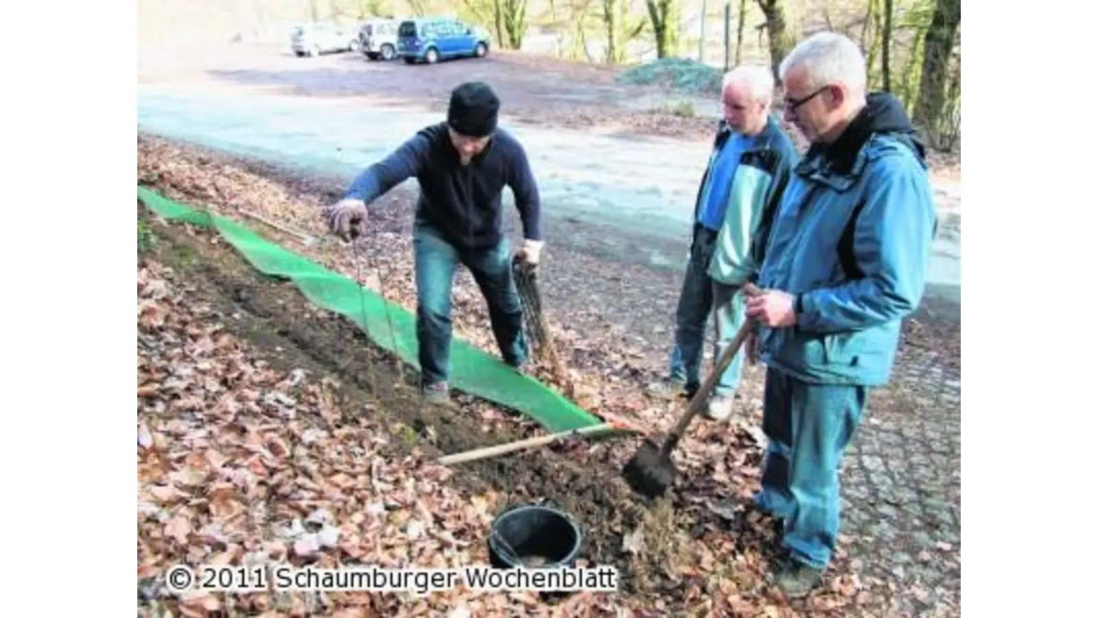 Population durch Menschenhand erhöht (Foto: tt)