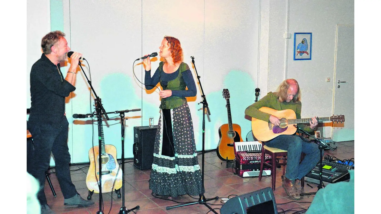Stimmungsvolle Klänge auf dem Hof Gümmer (Foto: bt)
