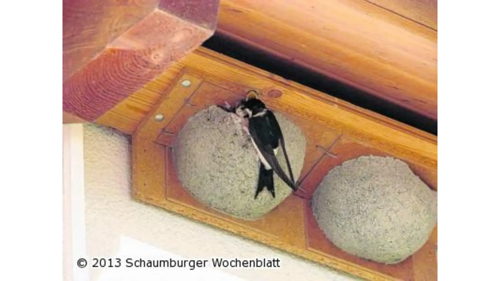 Den Nisthilfen sollen Plaketten folgen (Foto: al)