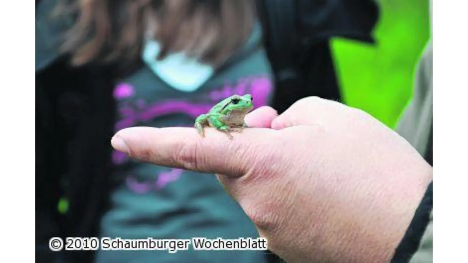 Der Froschkönig kehrt zurück (Foto: nb)