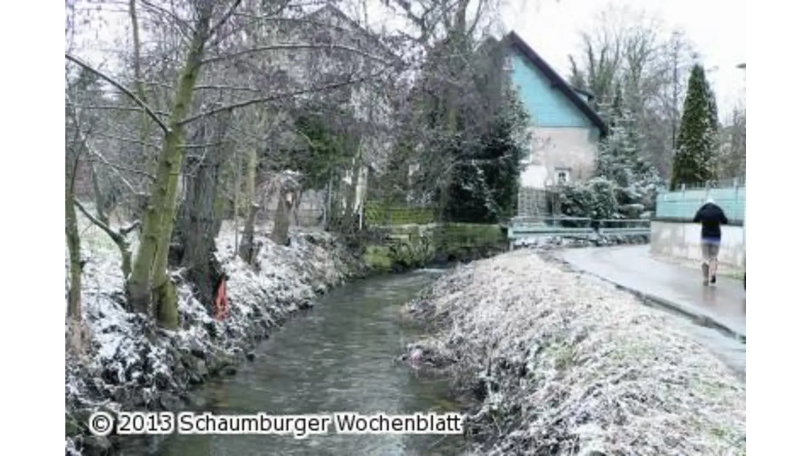 Der Aueverband räumt die Uferbereiche (Foto: al)