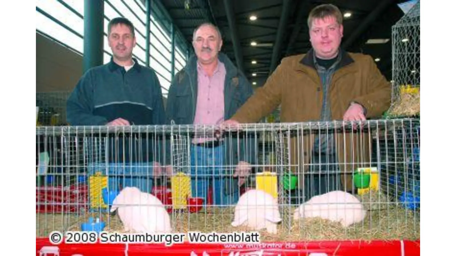 Erfolge für Kaninchenzüchter (Foto: red)