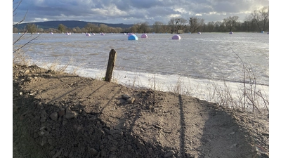 An der ost-Contrescarpe fehlten beim Weihnachtshochwasser 2023/&#39;24 nur noch wenige Zentimeter bis zu einer Katastrophe. (Foto: ste)