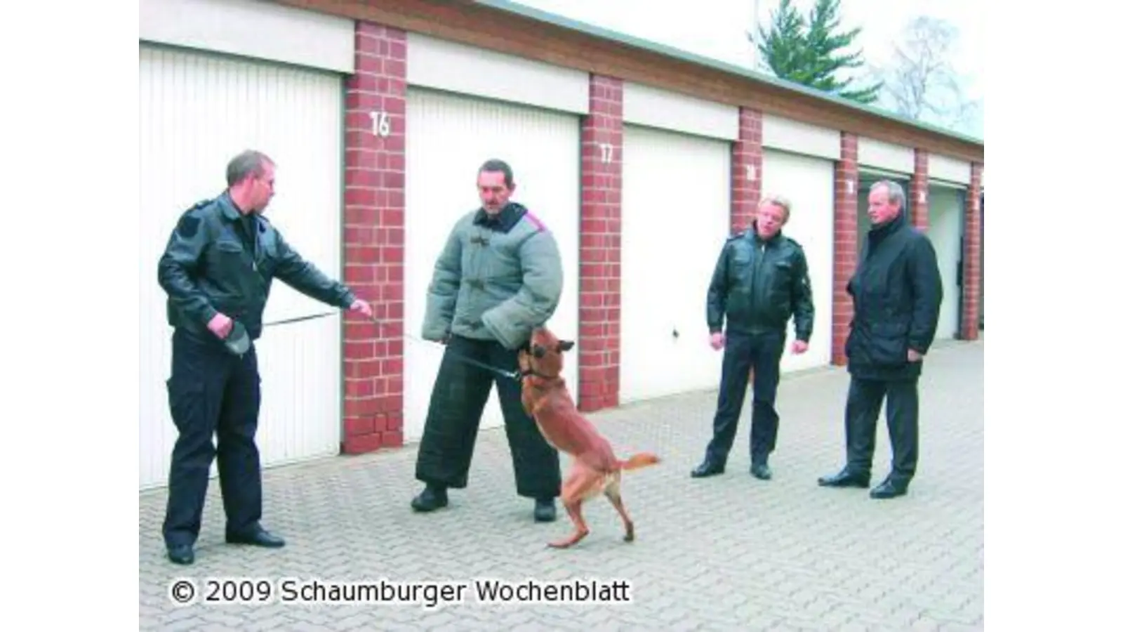 Diensthunde sind ein wertvolles Einsatzmittel gegen Kriminelle (Foto: ik)