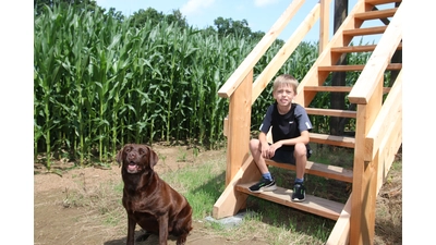 Hund Lilli und Moritz Schweer (9) kennen den Weg durch das Maislabyrinth bisher am besten. (Foto: bb)
