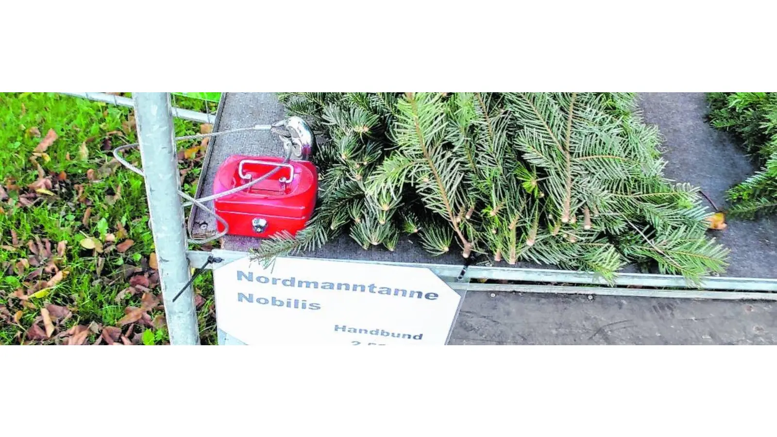 Geldkassetten gestohlen (Foto: nh)