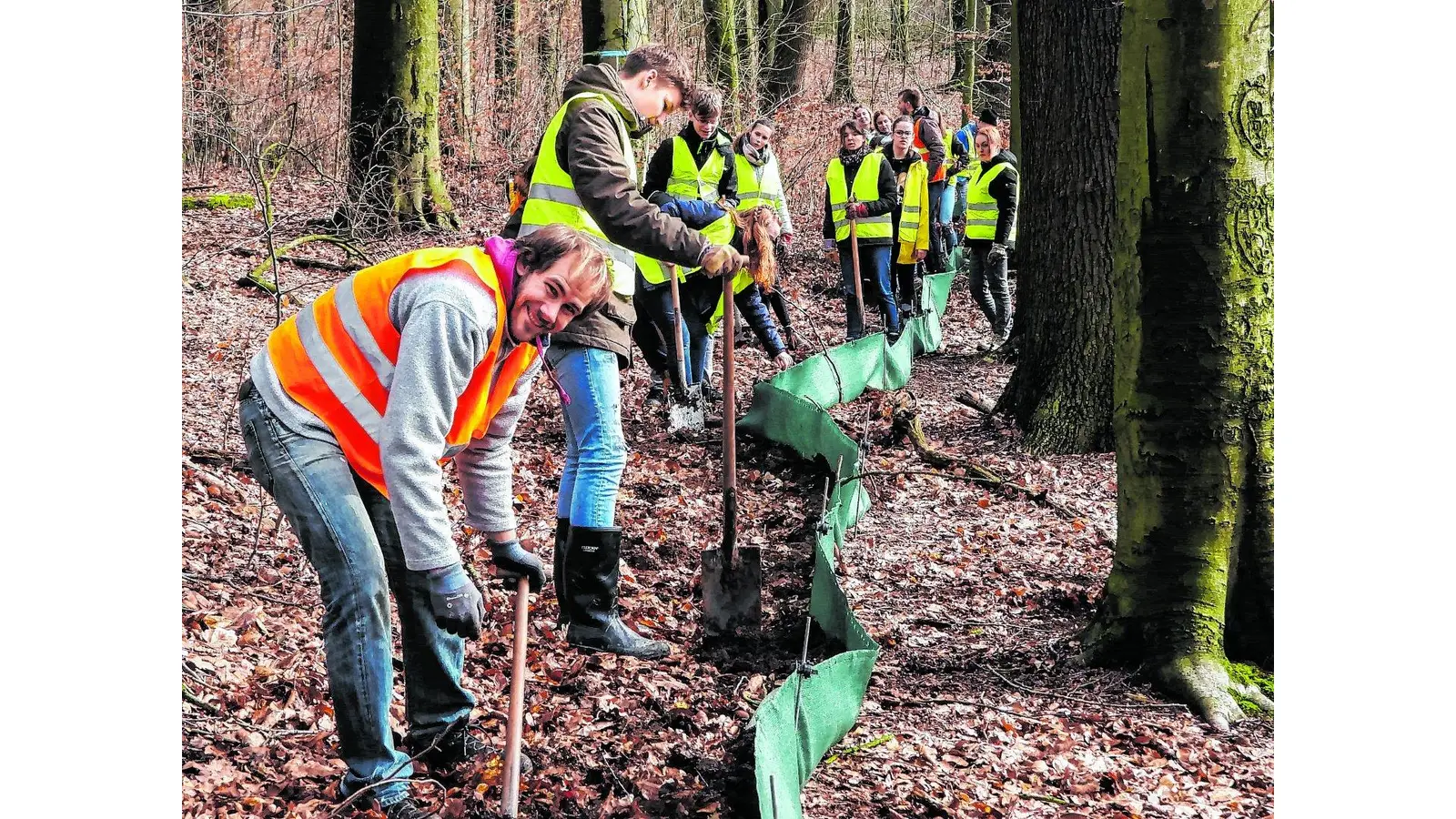 Die ersten Amphibien sind bereits auf Wanderschaft (Foto: ste)