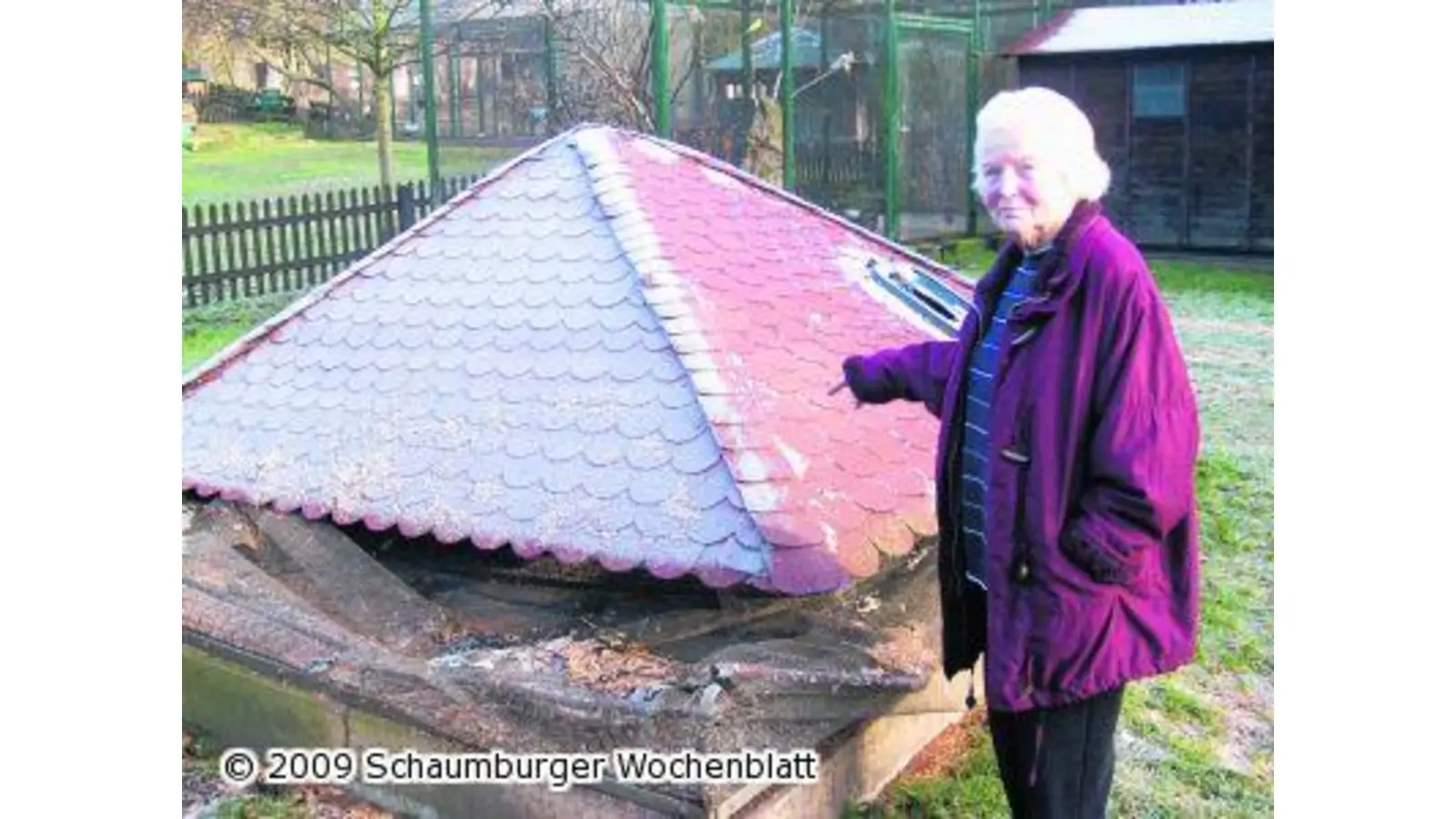 Papageien sind in Sicherheit (Foto: red)