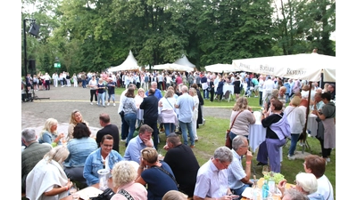 Am Sonntag, dem 3. August, lädt die Stadt zum „Rodenberger Sonntag“ auf die Museumsinsel. (Foto: archiv bb)