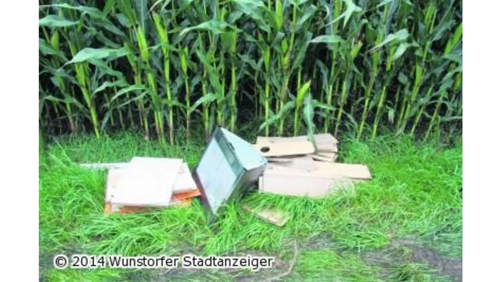 Dunstabzugshaube und Küchenmöbel entsorgt (Foto: gi)