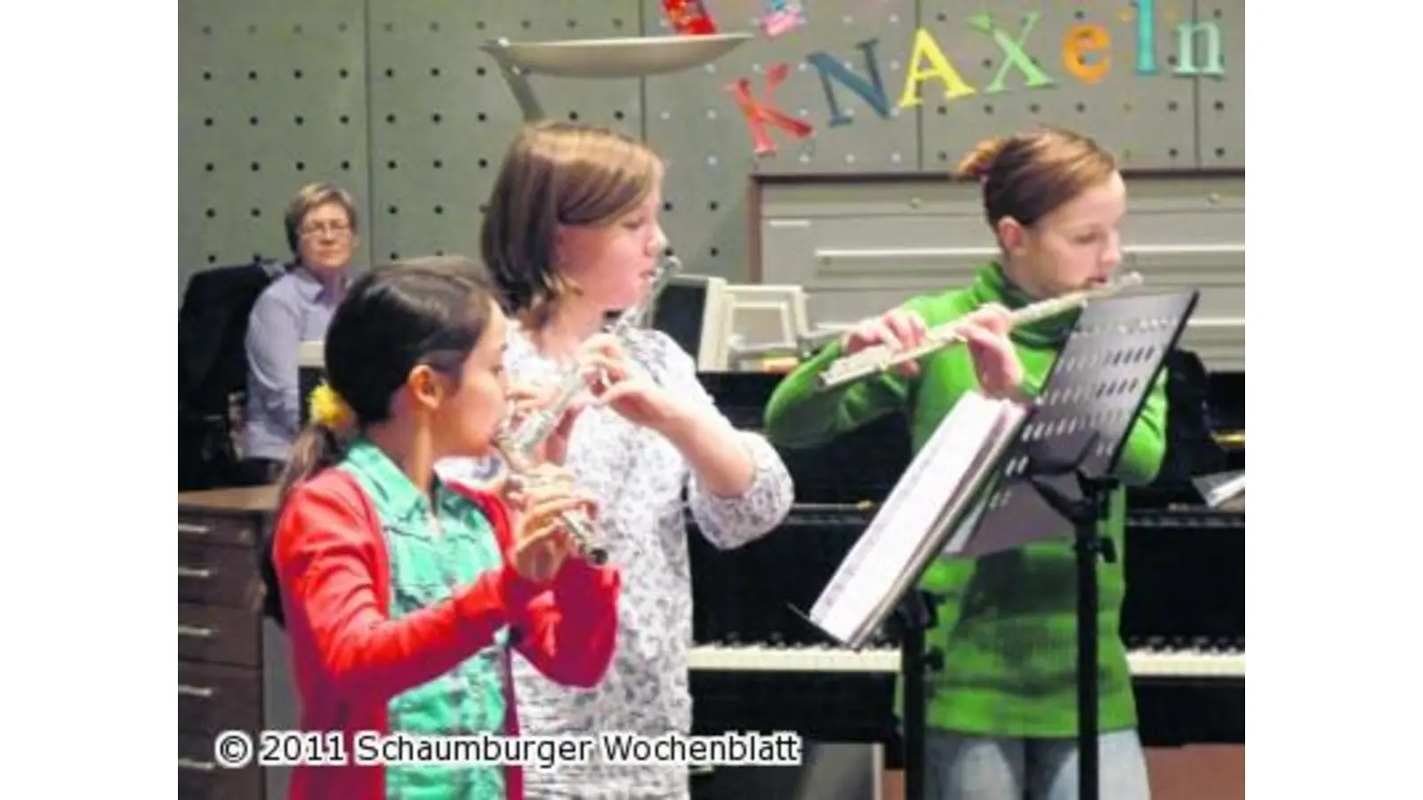 Junge Musiker zeigen ihre reifen Leistungen (Foto: km)