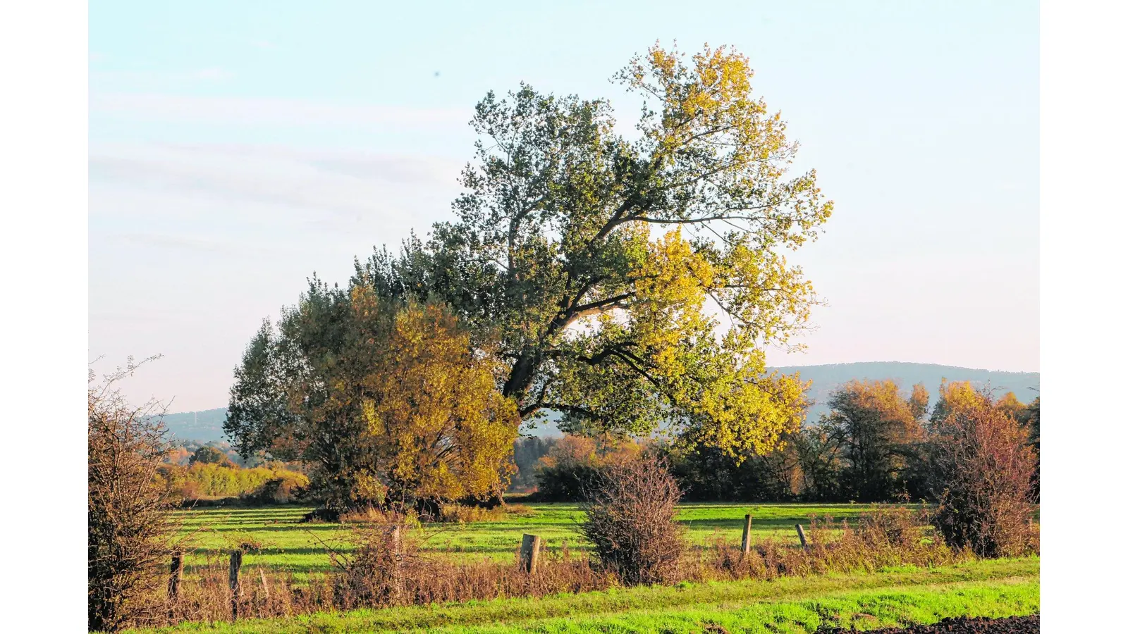 Erweiterung soll realisiert werden (Foto: nh)