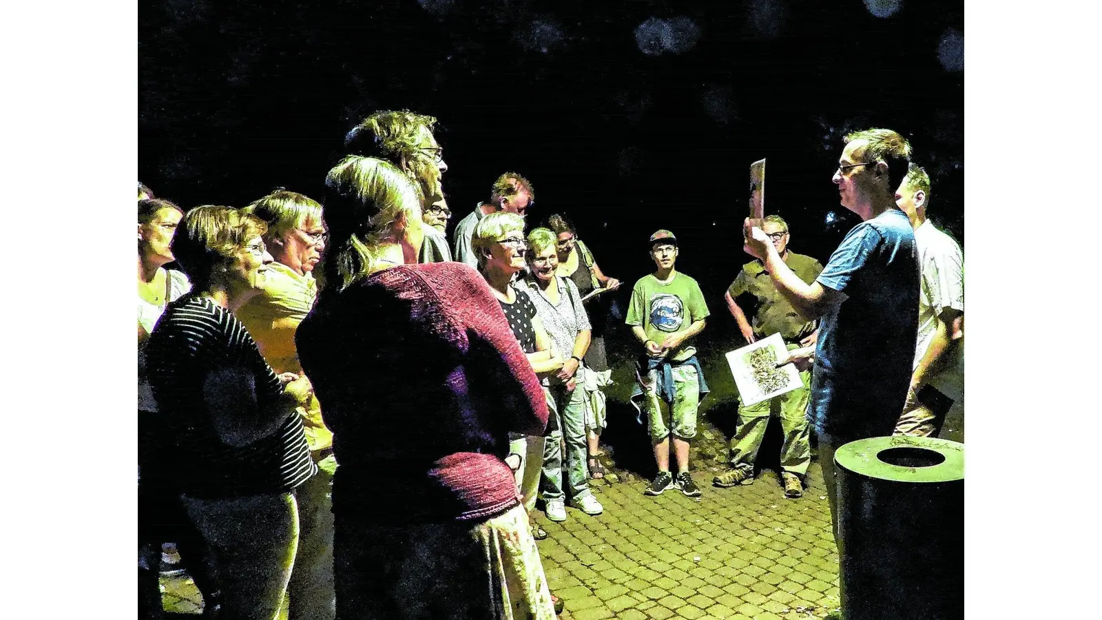 Flugshow der fliegenden Insektenfresser (Foto: ste)