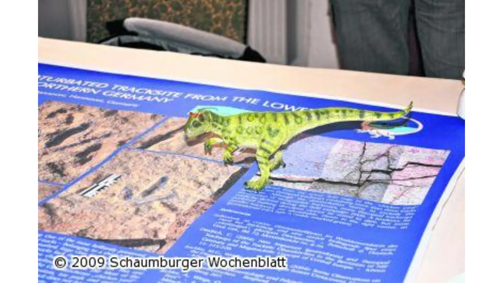 Neues vom Hühnerhof in den Bückebergen (Foto: nb)